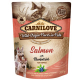 Carnilove Dog Salmon & Blueberries for Puppies - łosoś i jagody saszetka 300g