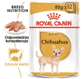 Royal Canin Chihuahua Adult karma mokra - pasztet, dla psów dorosłych rasy chihuahua saszetka 85g