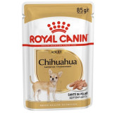 Royal Canin Chihuahua Adult karma mokra - pasztet, dla psów dorosłych rasy chihuahua saszetka 85g