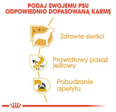 Royal Canin Chihuahua Adult karma mokra - pasztet, dla psów dorosłych rasy chihuahua saszetka 85g