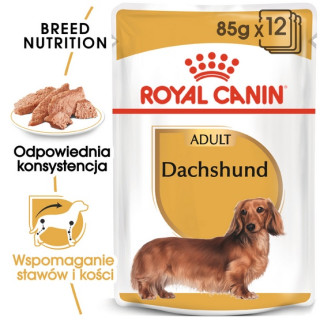 Royal Canin Dachshund karma mokra - pasztet, dla psów dorosłych rasy jamnik saszetka 85g