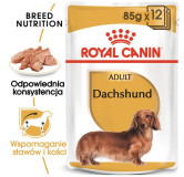 Royal Canin Dachshund karma mokra - pasztet, dla psów dorosłych rasy jamnik saszetka 85g