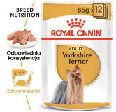 Royal Canin Yorkshire Terrier Adult karma mokra - pasztet, dla psów dorosłych rasy yorkshire terrier saszetka 85g