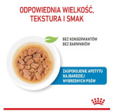 Royal Canin Mini Puppy karma mokra w sosie dla szczeniąt, od 2 do 10 miesiąca życia, ras małych saszetka 85g