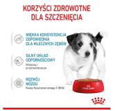 Royal Canin Mini Puppy karma mokra w sosie dla szczeniąt, od 2 do 10 miesiąca życia, ras małych saszetka 85g