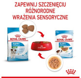 Royal Canin Mini Puppy karma mokra w sosie dla szczeniąt, od 2 do 10 miesiąca życia, ras małych saszetka 85g