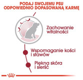 Royal Canin Medium Ageing 10+ karma mokra w sosie dla psów dojrzałych po 10 roku życia, ras średnich saszetka 140g