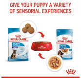 Royal Canin Maxi Puppy karma mokra w sosie dla szczeniąt, od 2 do 15 miesiąca życia, ras dużych saszetka 140g