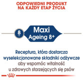 Royal Canin Maxi Ageing 8+ karma mokra w sosie dla psów dojrzałych, po 8 roku życia, ras dużych saszetka 140g