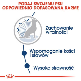 Royal Canin Maxi Ageing 8+ karma mokra w sosie dla psów dojrzałych, po 8 roku życia, ras dużych saszetka 140g