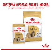 Royal Canin Shih Tzu Adult karma mokra dla psów dorosłych rasy shih tzu saszetka 85g