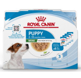 Royal Canin Mini Puppy karma mokra w sosie dla szczeniąt, od 2 do 10 miesiąca życia, ras małych saszetki 4x85g