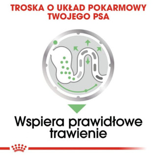 Royal Canin Digestive Care karma mokra dla psów dorosłych, wszystkich ras o wrażliwym przewodzie pokarmowym saszetka 85g