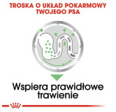 Royal Canin Digestive Care karma mokra dla psów dorosłych, wszystkich ras o wrażliwym przewodzie pokarmowym saszetka 85g