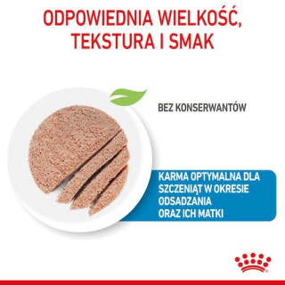 Royal Canin Starter Mother&Babydog karma mokra - mus, dla suk w czasie ciąży, laktacji oraz szczeniąt puszka 195g