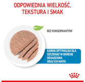 Royal Canin Starter Mother&Babydog karma mokra - mus, dla suk w czasie ciąży, laktacji oraz szczeniąt puszka 195g