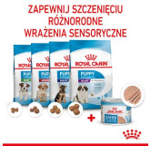 Royal Canin Starter Mother&Babydog karma mokra - mus, dla suk w czasie ciąży, laktacji oraz szczeniąt puszka 195g