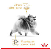 Royal Canin Pomeranian Adult karma mokra dla psów dorosłych rasy szpic miniaturowy, pasztet saszetka 85g