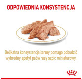 Royal Canin Pomeranian Adult karma mokra dla psów dorosłych rasy szpic miniaturowy, pasztet saszetka 85g