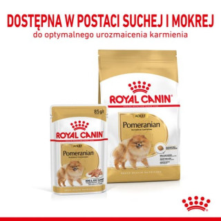 Royal Canin Pomeranian Adult karma mokra dla psów dorosłych rasy szpic miniaturowy, pasztet saszetka 85g