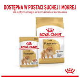 Royal Canin Pomeranian Adult karma mokra dla psów dorosłych rasy szpic miniaturowy, pasztet saszetka 85g