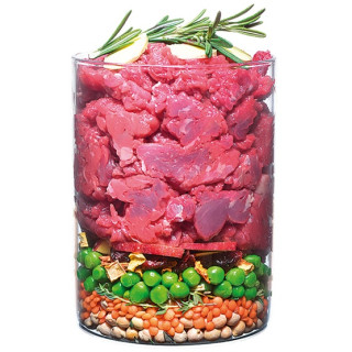 Carnilove Dog True Fresh Beef Adult - wołowina 1,4kg