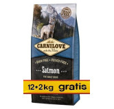 Carnilove Dog Salmon Adult - łosoś 14kg (12+2kg gratis)