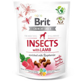 Brit Care Dog Crunchy Cracker Insect & Lamb 200g