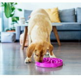 Outward Hound Fun Feeder Miska fioletowa [51003]