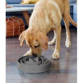 Outward Hound Fun Feeder Miska szara [69892]