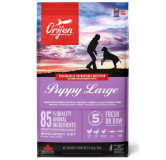 Orijen Puppy Large Breed 11,4kg