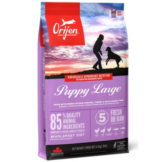 Orijen Puppy Large Breed 11,4kg