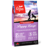 Orijen Puppy Large Breed 11,4kg