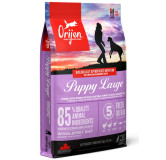 Orijen Puppy Large Breed 6kg