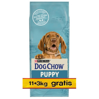 Purina Dog Chow Puppy Jagnięcina 14kg (11+3kg gratis)