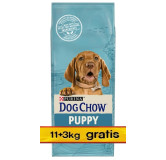 Purina Dog Chow Puppy Jagnięcina 14kg (11+3kg gratis)