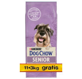 Purina Dog Chow Senior Jagnięcina 14kg (11+3kg gratis)