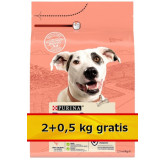 Purina Dog Chow Adult Sensitive Łosoś 2,5kg (2+0,5kg gratis)