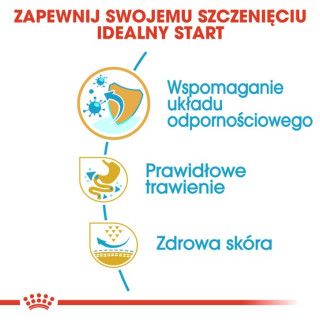 Royal Canin French Bulldog Puppy karma sucha dla szczeniąt do 12 miesiąca, rasy buldog francuski 1kg