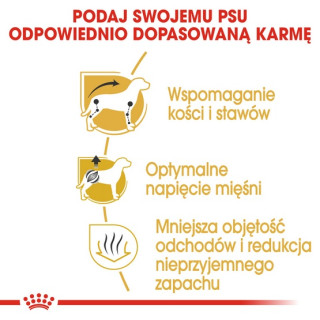 Royal Canin Dachshund Adult karma sucha dla psów dorosłych rasy jamnik 7,5kg