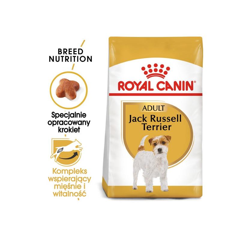 Royal Canin Jack Russell Terrier Adult karma sucha dla psów dorosłych rasy jack russell terrier 500g