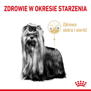 Royal Canin Yorkshire Terrier Adult 8+ karma sucha dla psów starszych rasy yorkshire terrier 500g