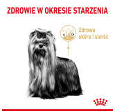 Royal Canin Yorkshire Terrier Adult 8+ karma sucha dla psów starszych rasy yorkshire terrier 500g